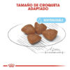 Royal Canin Size Health Nutrition Starter Mother & Babydog Para Perro Cachorro De Raza Mini Sabor Mix En Bolsa De 1 kg - Imagen 5