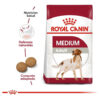 Royal Canin Size Health Nutrition Medium Adult Para Perro Adulto De Raza Mediana Sabor Mix En Bolsa De 3 kg - Imagen 3