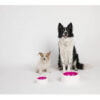 Comedero/bebedero Perro Cocooning Kaleido Fucsia 250 Ml - Imagen 3