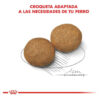 Royal Canin Size Health Nutrition Medium Adult Para Perro Adulto De Raza Mediana Sabor Mix En Bolsa De 3 kg - Imagen 7