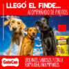 Snack Golocan Palitos Para Perro Sabor Pollo X 80 Gs - Imagen 5