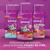 Whiskas Gatos Filhotes Para Gato De Temprana Edad Sabor Carne Y Leche En Bolsa De 10 kg - Imagen 7