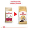 Royal Canin Feline Breed Nutrition Persian Para Gato Adulto x 7.5 kg - Imagen 3