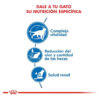 Royal Canin Feline Health Nutrition Indoor 7+ Para Gato Senior Todos Los Tamaños Sabor Mix En Bolsa De 1.5 kg - Imagen 5