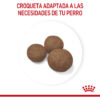 Royal Canin Size Health Nutrition Medium Puppy Perro Cachorro De Raza Mediana x1 kg - Imagen 6