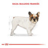 Royal Canin Breed Health Nutrition Bulldog Francés Perro Adulto x 7.5kg - Imagen 2