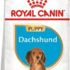Royal Canin Dachshund Puppy X 3 Kg - Imagen 3