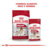 Royal Canin Size Health Nutrition Medium Adult Para Perro Adulto De Raza Mediana Sabor Mix En Bolsa De 3 kg - Imagen 4