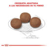 Royal Canin Size Health Nutrition Medium Puppy Perro Cachorro Razas Medianas x 15 kg - Imagen 3
