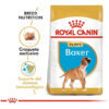 Royal Canin Raza Boxer Junior Perro Cachorro x 12 kg - Imagen 2