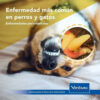 Aquadent Control Del Mal Aliento Perro Gato X 250 Ml - Imagen 5