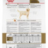 Royal Canin Breed Health Nutrition Labrador Retriever Perro Adulto x 12 kg - Imagen 2