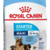 Royal Canin Size Health Nutrition Starter Mother & Babydog Perro Cachorro De Raza Grande x 10 kg
