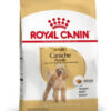 Royal Canin Breed Health Nutrition Caniche Adulto x 1 kg - Imagen 3