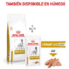 Royal Canin V-diet Perro Urinary Ageing 7+ X 1.5 Kg - Imagen 4