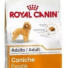 Royal Canin Breed Health Nutrition Caniche Adulto x 1 kg - Imagen 2
