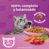 Whiskas Gatos Filhotes Para Gato De Temprana Edad Sabor Carne Y Leche En Bolsa De 10 kg - Imagen 5