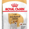 Royal Canin Jack Russell Adulto X 3 Kg