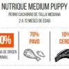 Nutrique Medium Puppy Perro Cachorro De Raza Mediana x 12 kg - Imagen 3