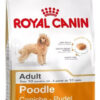 Royal Canin Breed Health Nutrition Caniche Para Perro Adulto Sabor Mix En Bolsa De 3 kg - Imagen 2