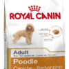 Royal Canin Breed Health Nutrition Caniche Adulto x 1 kg - Imagen 8