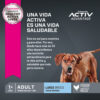 Eukanuba Perro Adulto Razas Grandes x 15 Kg - Imagen 4