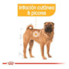 Royal Canin Size Health Nutrition Perro Adulto Medium Dermacomfort  x 3 kg - Imagen 4