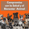 Royal Canin Size Health Nutrition Medium Puppy Perro Cachorro Razas Medianas x 15 kg - Imagen 11