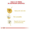 Royal Canin Breed Health Nutrition Bulldog Ingles Adulto x 12 kg - Imagen 6