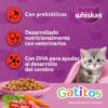 Whiskas Gatos Filhotes Para Gato De Temprana Edad Sabor Carne Y Leche En Bolsa De 10 kg - Imagen 4