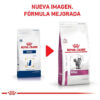 Alimento Royal Canin Veterinary Diet Feline Renal Para Gato Adulto Sabor Mix En Bolsa De 2 kg - Imagen 2