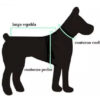 Ropa Perro Buzo Mpc Luna Talle 38 Calidad Premium - Imagen 3