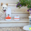 Comedero Automático Con Temporizador Perros Ferplast Cometa - Imagen 5