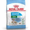 Royal Canin Size Health Nutrition Starter Mother & Babydog Para Perro Cachorro De Raza Mini Sabor Mix En Bolsa De 1 kg - Imagen 3