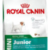 Royal Canin Mini Puppy Para Perro Cachorro De Raza Mini x 3 kg - Imagen 3