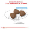 Royal Canin Size Health Nutrition Starter Mother & Babydog Perro Cachorro Raza Mediana x 3 kg - Imagen 10
