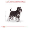 Royal Canin Breed Health Nutrition Miniature Schnauzer Perro Adulto De Raza Mini x 3 kg - Imagen 6