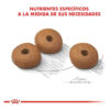 Royal Canin Size Health Nutrition Medium Weight Care Para Perro Adulto De Raza Mediana Sabor Mix En Bolsa De 10 kg - Imagen 3