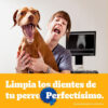Dentastix Snack Perro Adulto Razas Grandes 3 Barras 10un - Imagen 5