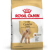 Royal Canin Breed Health Nutrition Caniche Para Perro Adulto Sabor Mix En Bolsa De 3 kg