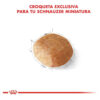 Royal Canin Breed Health Nutrition Miniature Schnauzer Perro Adulto De Raza Mini x 3 kg - Imagen 7