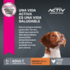 Eukanuba Medium Breed Perro Adulto De Raza Mediana x 3 kg - Imagen 4