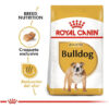 Royal Canin Breed Health Nutrition Bulldog Ingles Adulto x 12 kg - Imagen 4