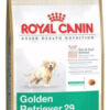 Royal Canin Golden Retriever Junior 12 Kg - Imagen 2
