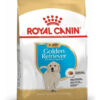 Royal Canin Golden Retriever Junior 12 Kg