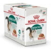 Royal Canin Instictive 7+ Pouch X 85 Grs X 12 Unidades