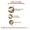 Royal Canin Pouch Feline Health Nutrition Ageing +12 x 12 Unidades de 85g - Imagen 4