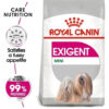 Royal Canin Perro Adulto Mini Exigent x 3 Kg - Imagen 2