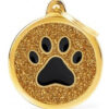 Chapita Id Mascota My Family Shine Big Circle Gold Paw! - Imagen 2
