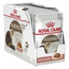 Royal Canin Pouch Feline Health Nutrition Ageing +12 x 12 Unidades de 85g